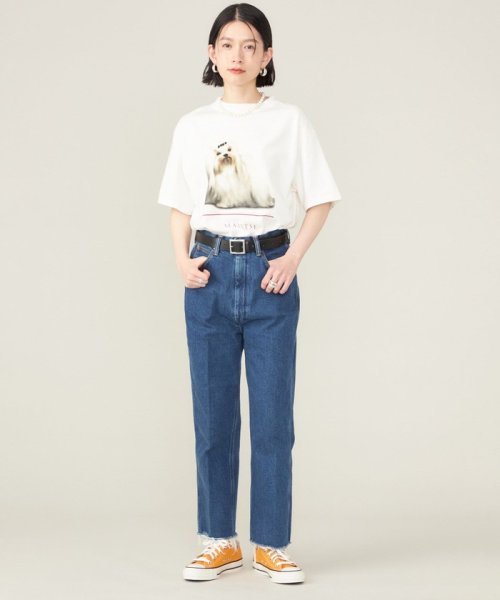 SHIPS WOMEN(シップス　ウィメン)/《予約》SHIPS NINE CASE:〈洗濯機可能〉MALTESE TEE◆/img14