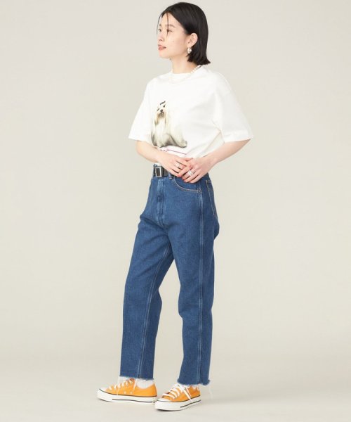 SHIPS WOMEN(シップス　ウィメン)/《予約》SHIPS NINE CASE:〈洗濯機可能〉MALTESE TEE◆/img16