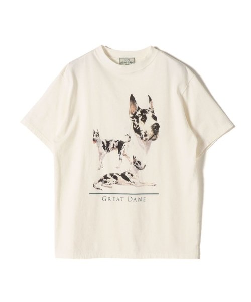 SHIPS WOMEN(シップス　ウィメン)/《予約》SHIPS NINE CASE:〈洗濯機可能〉GREAT DANE TEE◆/img01