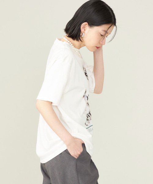 SHIPS WOMEN(シップス　ウィメン)/《予約》SHIPS NINE CASE:〈洗濯機可能〉GREAT DANE TEE◆/img11