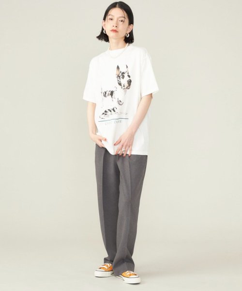 SHIPS WOMEN(シップス　ウィメン)/《予約》SHIPS NINE CASE:〈洗濯機可能〉GREAT DANE TEE◆/img14