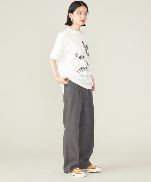 SHIPS WOMEN(シップス　ウィメン)/SHIPS NINE CASE:〈洗濯機可能〉GREAT DANE TEE ◇/img18