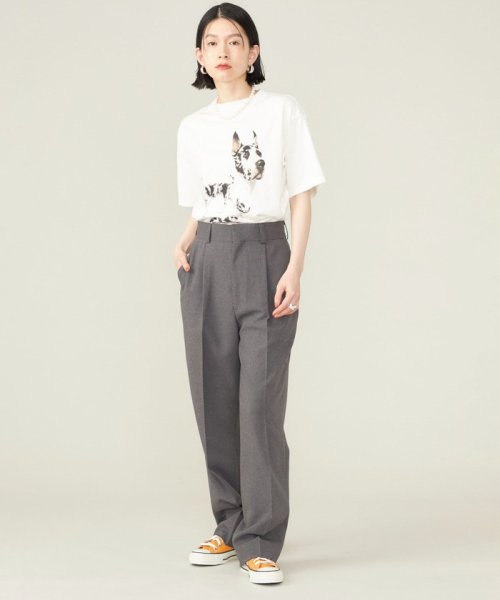 SHIPS WOMEN(シップス　ウィメン)/《予約》SHIPS NINE CASE:〈洗濯機可能〉GREAT DANE TEE◆/img20