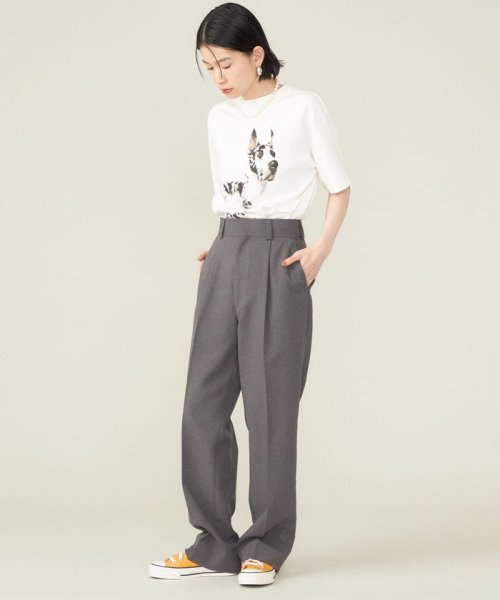 SHIPS WOMEN(シップス　ウィメン)/SHIPS NINE CASE:〈洗濯機可能〉GREAT DANE TEE ◇/img21