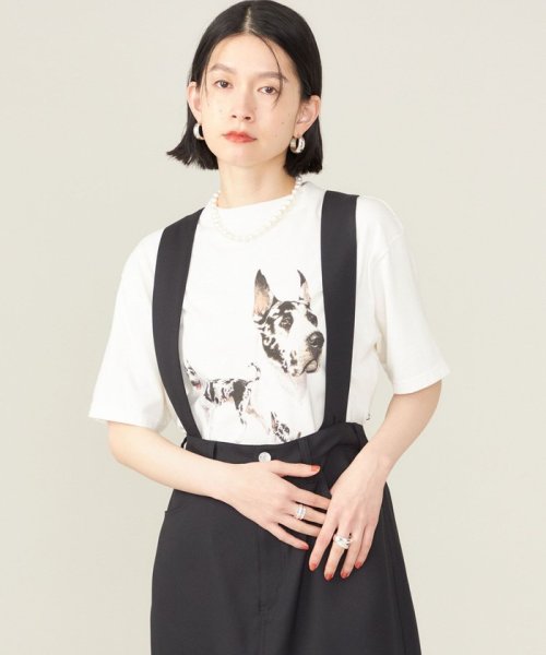 SHIPS WOMEN(シップス　ウィメン)/《予約》SHIPS NINE CASE:〈洗濯機可能〉GREAT DANE TEE◆/img25