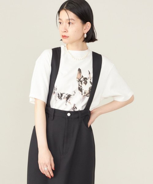 SHIPS WOMEN(シップス　ウィメン)/SHIPS NINE CASE:〈洗濯機可能〉GREAT DANE TEE ◇/img27