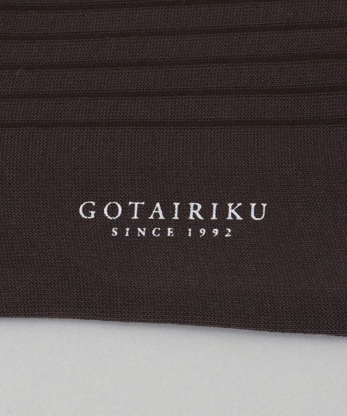 gotairiku(五大陸)/蒸れにくい/高耐久【日本製/ビジカジ兼用/定番】オリジナル コーデュラ混 リブソックス/img04