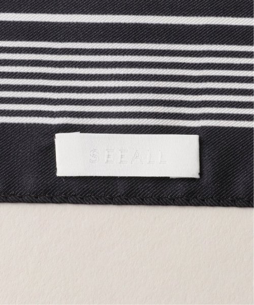 JOURNAL STANDARD(ジャーナルスタンダード)/【SEEALL/シーオール】OKEEFFE SCARF:スカーフ/img03