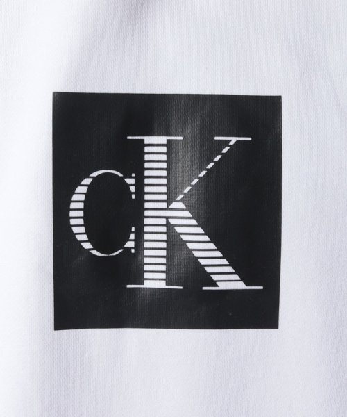 Calvin Klein(カルバンクライン)/【Calvin Klein / カルバンクライン】トップス プルオーバー スウェット フーディー パーカー 長袖 ロゴ カンガルーポケット 40QC401/img15