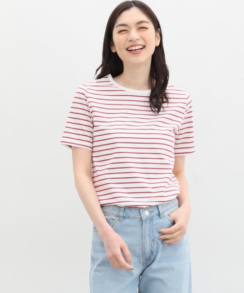 Honeys(ハニーズ)/半袖ボーダーＴシャツ トップス Tシャツ 半袖 綿100％ UVカット インナー ボーダー /img06