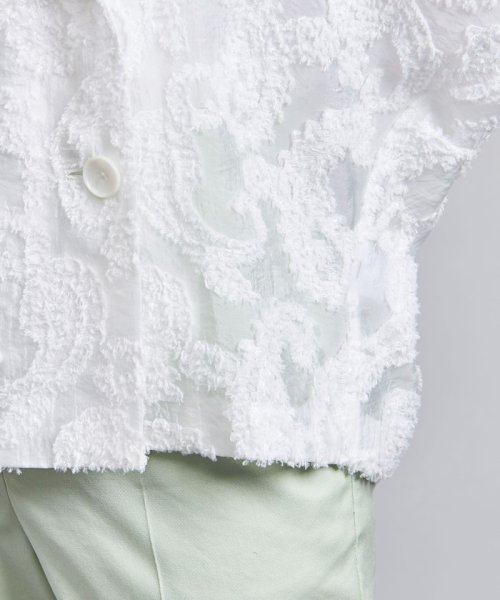 ペイズリー ドルマン ブラウス ジャケット ブラウス B82 W57 H84 着用サイズ：M