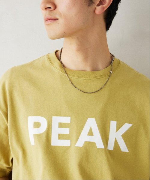 JOURNAL STANDARD relume Men's(ジャーナルスタンダード　レリューム　メンズ)/【SNOW PEAK / スノーピーク】別注 SP Logo Tシャツ/img17