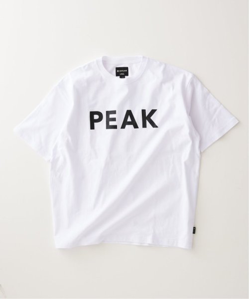 JOURNAL STANDARD relume Men's(ジャーナルスタンダード　レリューム　メンズ)/【SNOW PEAK / スノーピーク】別注 SP Logo Tシャツ/img38