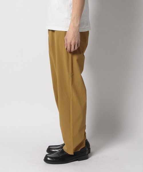 EDWIN(EDWIN)/WIDE TAPERED        CAMEL EX CAMEL EX/img01