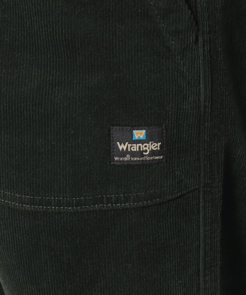 Wrangler(Wrangler)/#BAKER EASY PANTS    421/img04