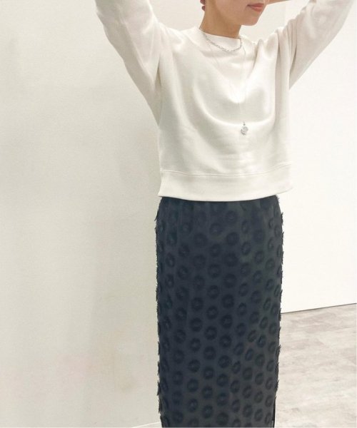 IENA(イエナ)/《予約》シアージャガード刺繍スカート/img32
