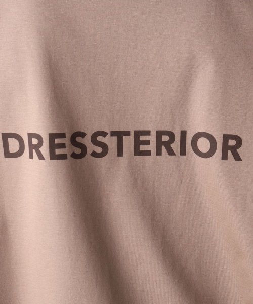 DRESSTERIOR(ドレステリア)/【接触冷感／抗菌防臭／消臭】ICE CLEAR COTTON オーバーフィットTシャツ/img49