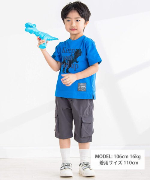 BeBe Petits Pois Vert(ベベ プチ ポワ ヴェール)/リアル恐竜ロゴプリント半袖Tシャツ(95~150cm)/img01