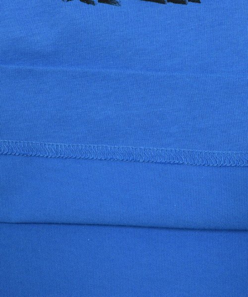 BeBe Petits Pois Vert(ベベ プチ ポワ ヴェール)/リアル恐竜ロゴプリント半袖Tシャツ(95~150cm)/img14