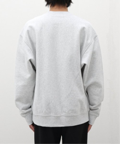 JOINT WORKS(ジョイントワークス)/【CARHARTT WIP / カーハート ダブリューアイピー】 AMERICAN SCRIPT SWEATSHIRT/img48