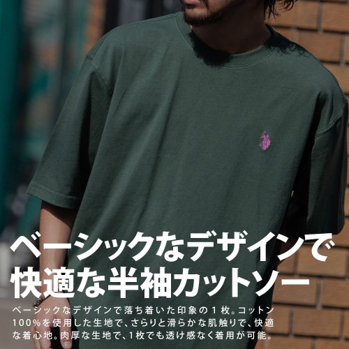 SB Select(エスビーセレクト)/U.S.POLO ASSN. クルーショートスリーブ半袖カットソー/img01