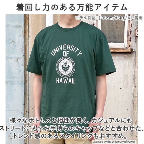 BACKYARD FAMILY(バックヤードファミリー)/HAWAII SHORT SLEEVE T－SHIRT/img07