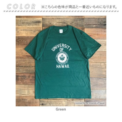 BACKYARD FAMILY(バックヤードファミリー)/HAWAII SHORT SLEEVE T－SHIRT/img11