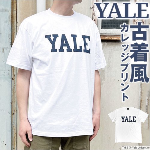 BACKYARD FAMILY(バックヤードファミリー)/YALE SHORT SLEEVE T－SHIRT/img01