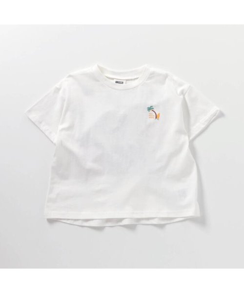 BREEZE(ブリーズ)/バックボックスロゴTシャツ/img02