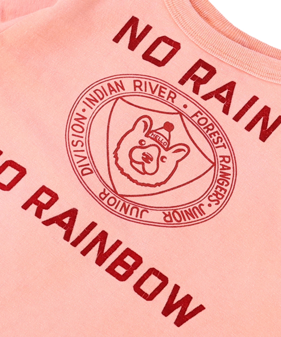 デニムダンガリー DENIM DUNGAREE ビンテージ天竺 1921 Tシャ