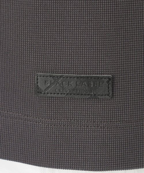 BLACK LABEL CRESTBRIDGE(BLACK LABEL CRESTBRIDGE)/ヨークチェックタックTシャツ/img09