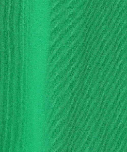 green label relaxing （Kids）(グリーンレーベルリラクシング（キッズ）)/＜Champion＞キッズ ショートスリーブ Tシャツ 140cm－160cm/img22