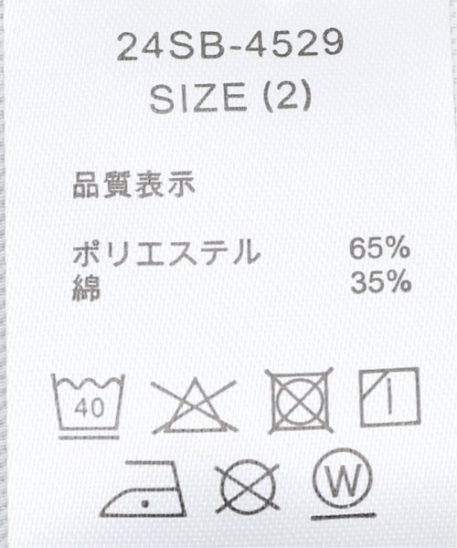 JOURNAL STANDARD relume Men's(ジャーナルスタンダード　レリューム　メンズ)/【BEDWIN / ベドウィン】10L Dickies TC PANTS THUNDERS/img15