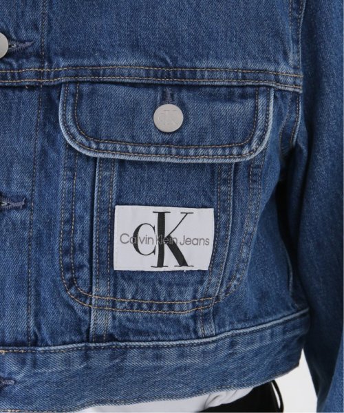 JOINT WORKS(ジョイントワークス)/【Calvin Klein Jeans / カルバン クライン ジーンズ】 AR－ EXTRA CROP 90S DENIM JKT/img10