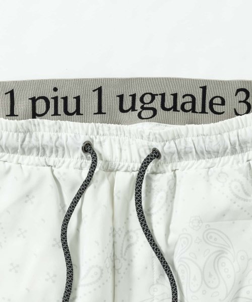 1PIU1UGUALE3 RELAX(1PIU1UGUALE3 RELAX)/1PIU1UGUALE3 RELAX(ウノピゥウノウグァーレトレ リラックス)総柄ランニングパンツ/img22