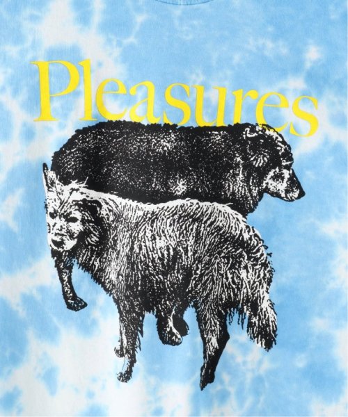 PULP(パルプ)/【PLEASURES / プレジャー】WET DOGS T－SHIRT BLUE DYE/img06