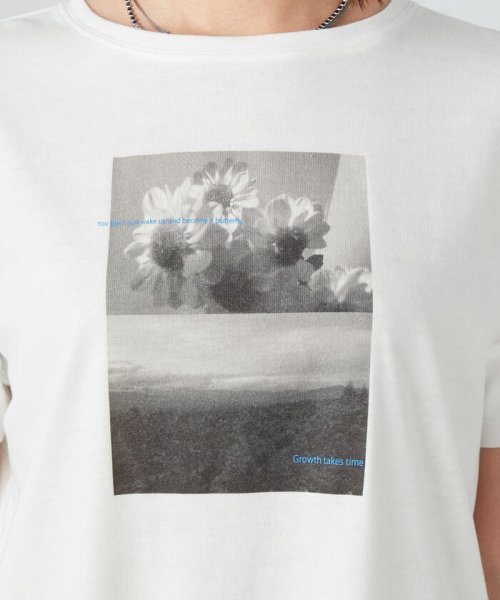 COMME CA ISM (コムサイズム（レディス）)/フォトプリントＴシャツ/img19