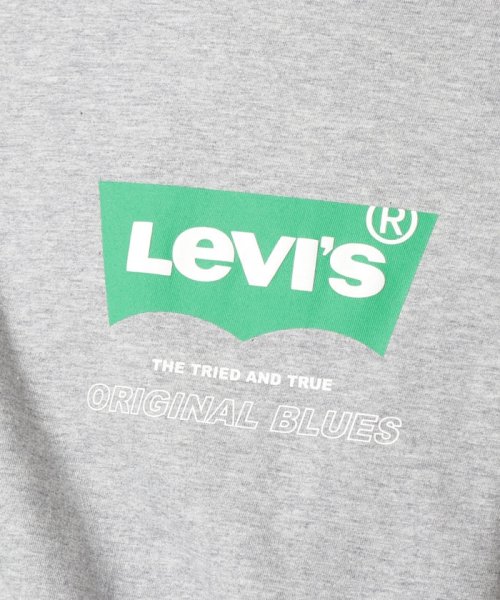 LEVI’S OUTLET(リーバイスアウトレット)/RELAXED LS GRAPHIC TEE SSNL EXPRESSION B/img05
