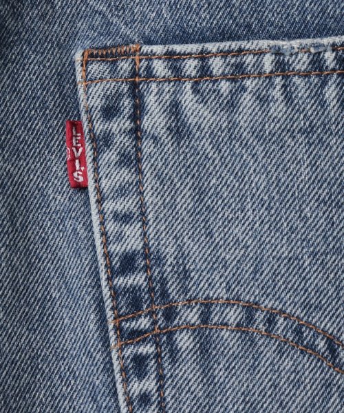 LEVI’S OUTLET(リーバイスアウトレット)/SKATEBOARDING 501? S&E STF HOMEWOOD/img06