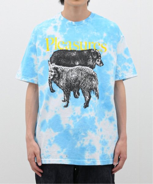 PULP(パルプ)/【PLEASURES / プレジャー】WET DOGS T－SHIRT BLUE DYE/img11