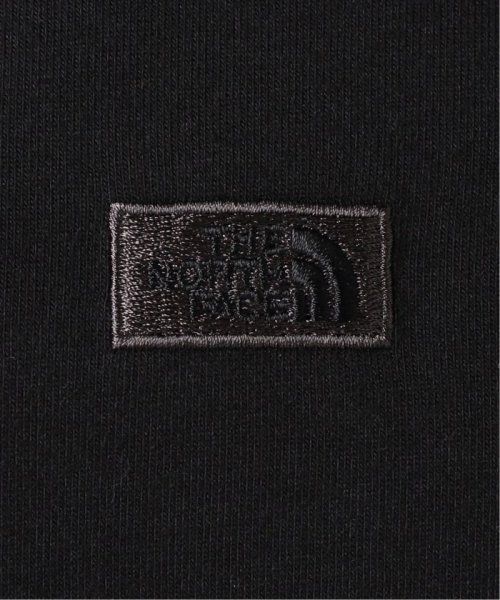 JOURNAL STANDARD(ジャーナルスタンダード)/《WEB限定予約》【THE NORTH FACE/ ザノースフェイス】 S/S ROCK STEADY TEE：Tシャツ/img36