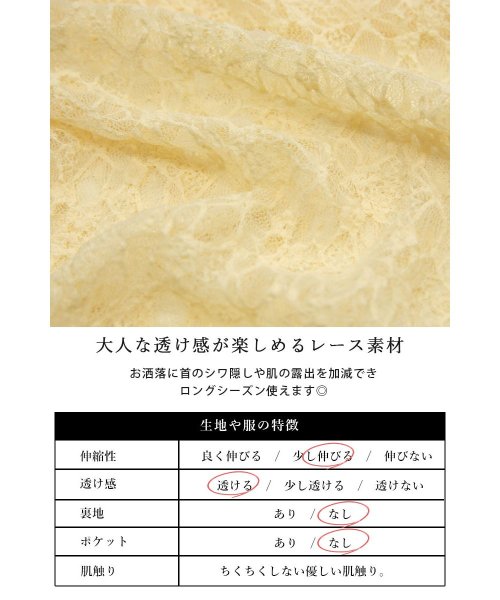 and it_(アンドイット)/透け感楽しむ大人シアートップス トップス シアー レース 春夏 長袖 レディース シアートップス シアーインナー 重ね着 レースインナー 透け感 上品 首元カバ/img12