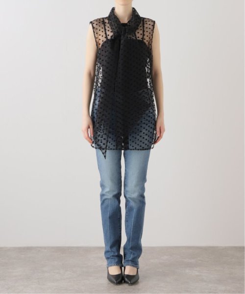 IENA(イエナ)/【NINA RICCI/ニナ リッチ】S/L POLKA－DOT TULLE SH チュールシャツ/img01