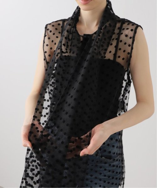 IENA(イエナ)/【NINA RICCI/ニナ リッチ】S/L POLKA－DOT TULLE SH チュールシャツ/img09