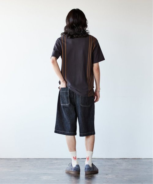JOURNAL STANDARD(ジャーナルスタンダード)/《予約》FRED PERRY for JOURNAL STANDARD / ストライプピケ Tシャツ/img03