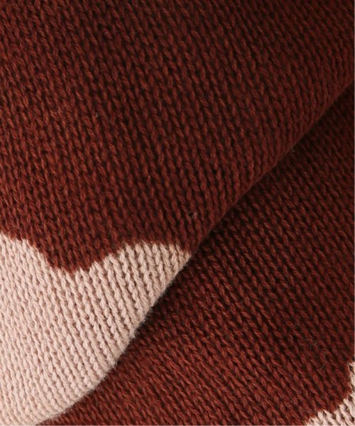 JOINT WORKS(ジョイントワークス)/【irojikake/イロジカケ】 Tie－dye knit pants/img16
