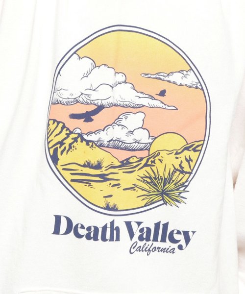 LEVI’S OUTLET(リーバイスアウトレット)/PRISM HOODIE HOODIE DEATH VALLEY SUGAR S/img06