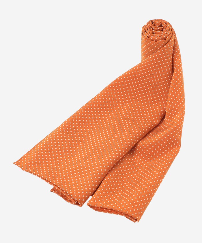 RRL等の通販サイト【RHYTHM】RRL(ダブルアールエル)DOT STOLE