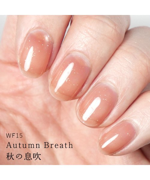 HOMEI(ホーメイ)/HOMEIウィークリージェル WF15 Autumn Breath/img01