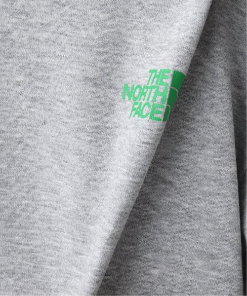 PULP(パルプ)/《WEB限定》【THE NORTH FACE / ザ ノースフェイス】S/S Bandana Square Logo T/img15